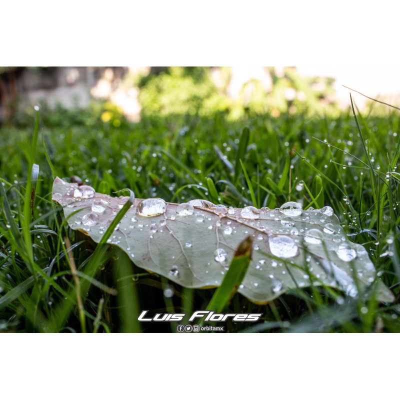 Drops Drops